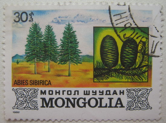 Монголия марка 1982 г. Деревья Монголии