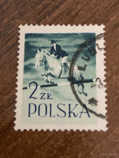 Польша 1959. Конный спорт. Полная серия