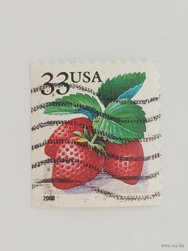 США ягоды 1999