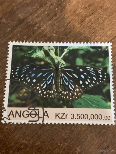 Ангола 2000. Бабочки. Tirumala. Марка из серии