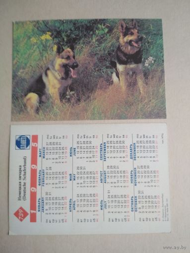 Карманный календарик. Собаки . 1995 год