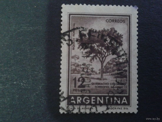 Аргентина 1962 дерево