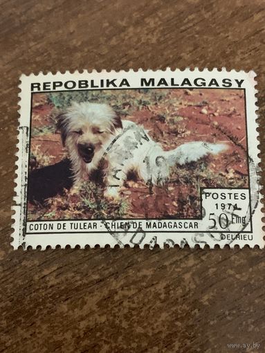 Мадагаскар 1974. Породы собак. Марка из серии