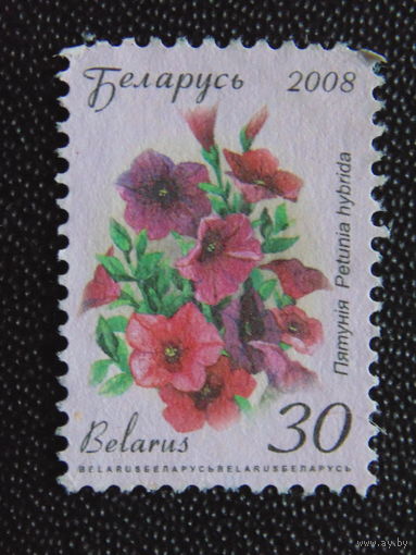Беларусь 2008 г. Стандарт.