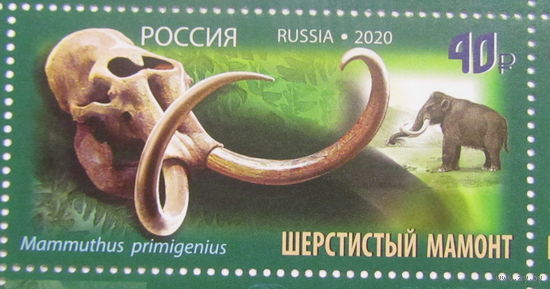 Россия 2020 Палеонтологическое наследие России