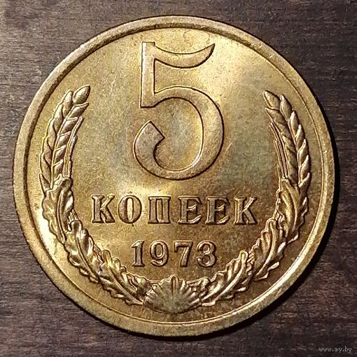 5 копеек 1973 года, UNC, штемпельный блеск, матовый рельеф