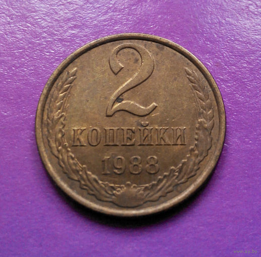 2 копейки 1988 СССР #07