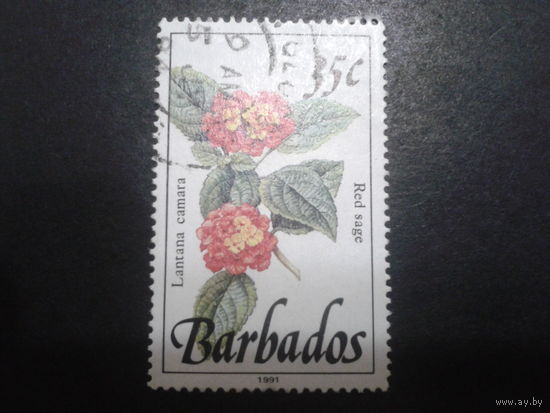 Барбадос 1991 Цветы