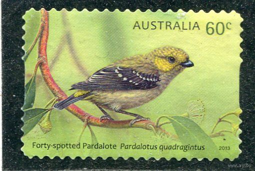 Австралия. Певчие птицы