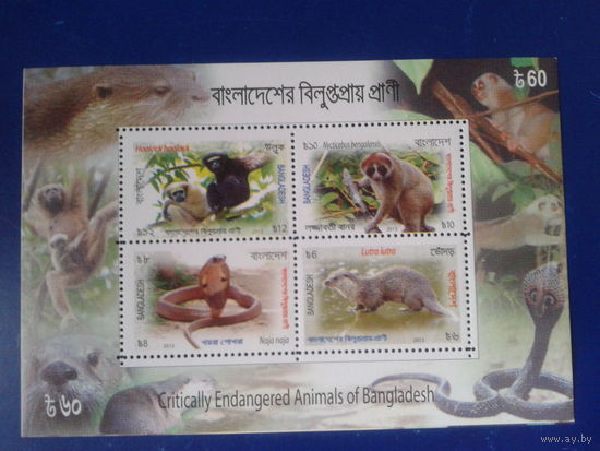 Бангладеш 2013 Фауна блок