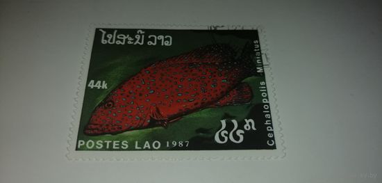 Лаос 1987. Рыбы