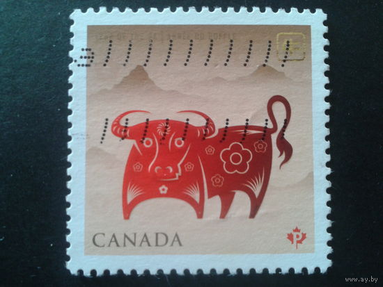Канада 2009 год быка