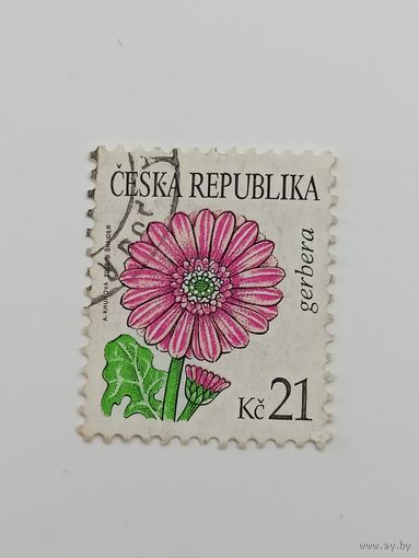 Чехия 2008. Цветы