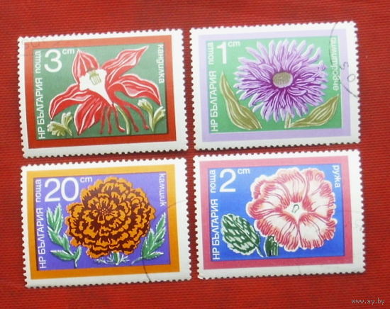 Болгария. Цветы. ( 4 марки ) 1974 года. 7-6.