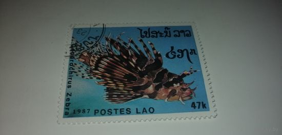 Лаос 1987. Рыбы