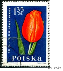 Польша флора 1 шт 1964 цветы