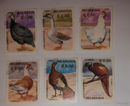 Никарагуа, домашние птицы, 6 марок
