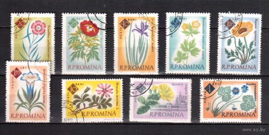 Румыния-1961,(Мих. 2020-2028) гаш. , Флора, Цветы