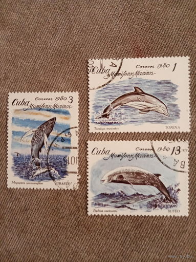 Куба 1980. Дельфины и киты