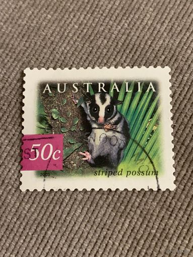 Австралия 2003. Stripped possum. Марка из серии