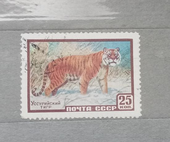 СССР. 1959г. Уссурийский тигр.