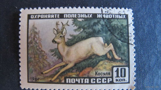 Марка СССР (#2537)	Фауна СССР. Косуля
