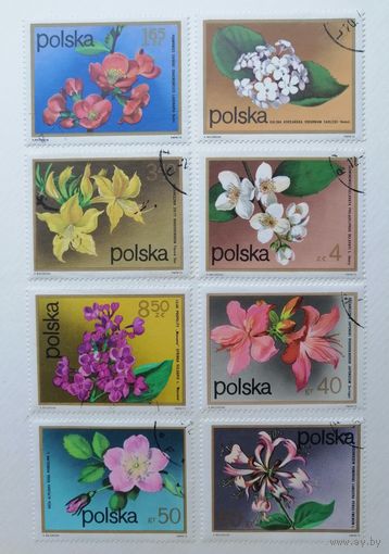 Польша 1972 / Флора / Кустарниковые цветы / Полная серия - 8 марок