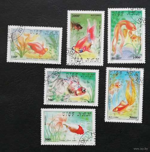 Вьетнам 1990 г. Золотые рыбки. Фауна, полная серия из 6 марок #0261-Ф1P59