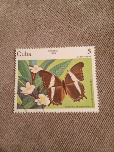 Куба 1984. Бабочки. Superba Bates