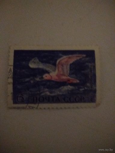 Марка розовая чайка 1972г