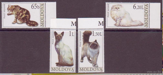 Молдова 2007,  Фауна. Коты. Кошки. Домашние животные, 4 марки **