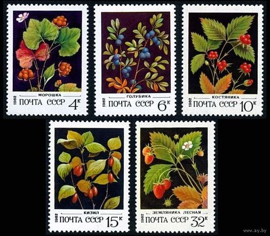 Марки СССР 1982 год. Дикорастущие ягоды. Полная серия из 5 марок. 5273-5277.