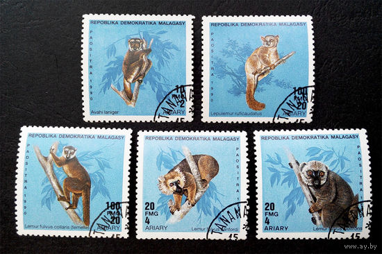 Мадагаскар 1990 г. Лемуры. Фауна, полная серия из 5 марок #0032-Ф2P6