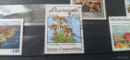 Никарагуа 1990г. Флора, грибы