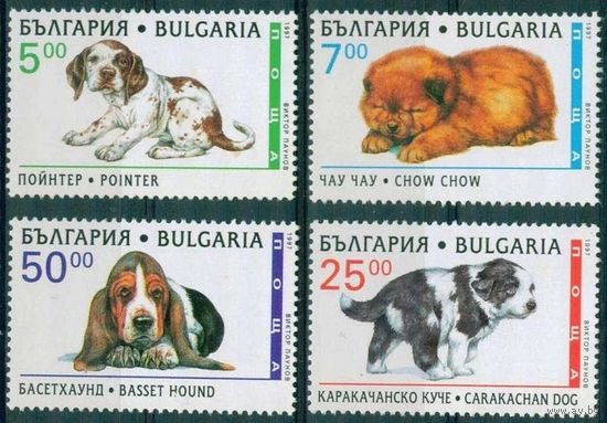 1997 Болгария 4265-4268 Собаки 3,50 евро