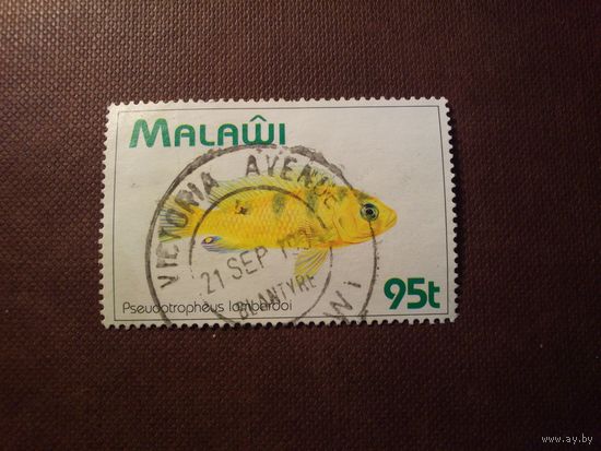 Малави 1994 г.Пресноводная рыба Псевдотрофеус Ломбардо./44а/