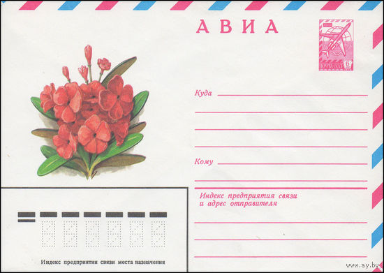 Художественный маркированный конверт СССР N 15409 (12.01.1982) АВИА  [Рододендрон кочи]