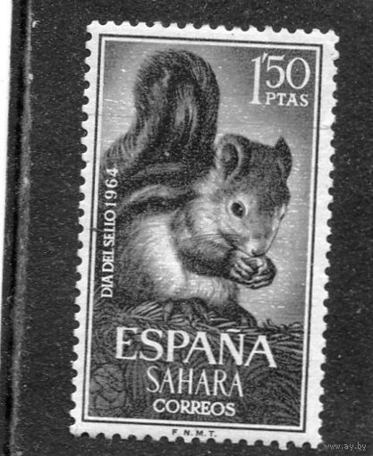 Испанская Сахара. Фауна. Белка
