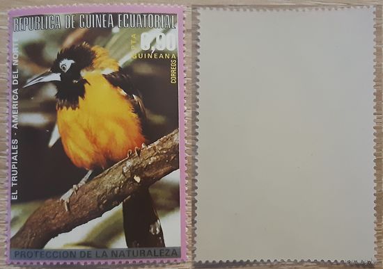 Экваториальная Гвинея 1976 Североамериканские птицы.Желтуха