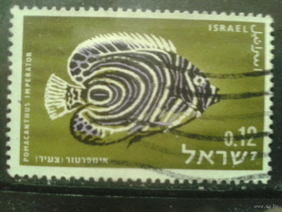 Израиль 1963 Рыба, концевая