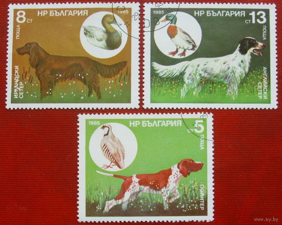 Болгария. Собаки. ( 3 марки ) 1985 года. 6-4.