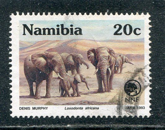 Намибия. Фауна. Слоны