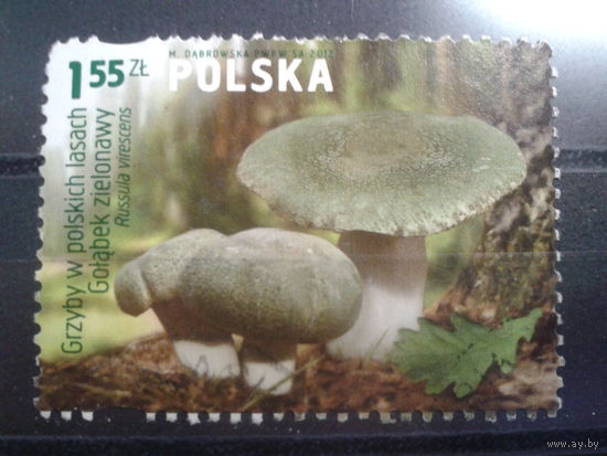 Польша, 2012, Ядовитый гриб, марка из блока