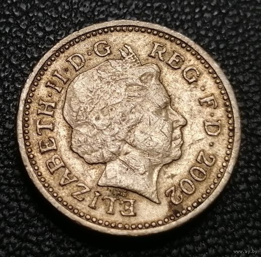 1 фунт 2002