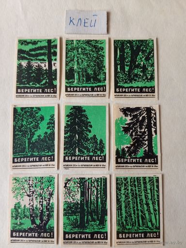Спичечные этикетки  ф.Барнаул. Берегите лес. 1960 год