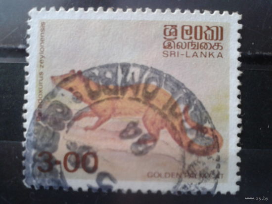 Шри-Ланка 1989 Фауна