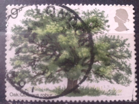 Англия 1973 Дерево
