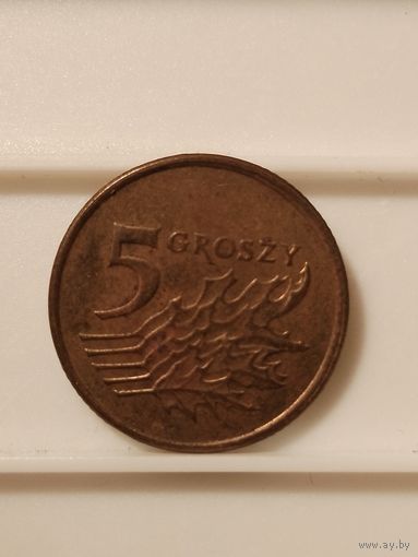 5 грошей 2009 г. Польша