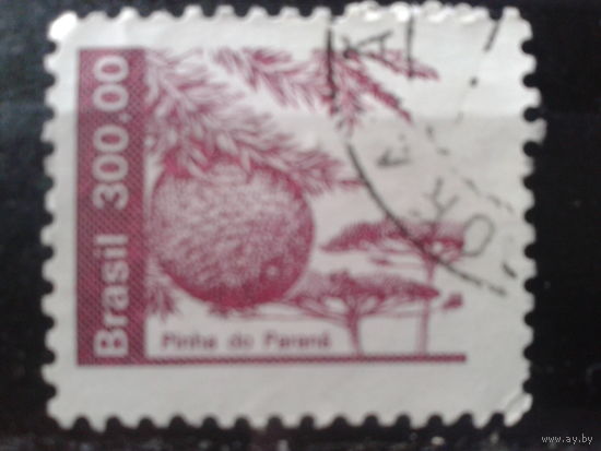 Бразилия 1984 Стандарт, шишки с орехами 300,00