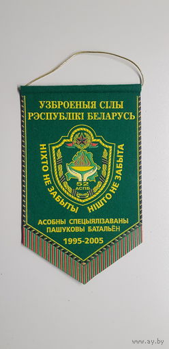 Вымпел 10 лет 52 отдельный специализированный поисковый батальон Беларусь